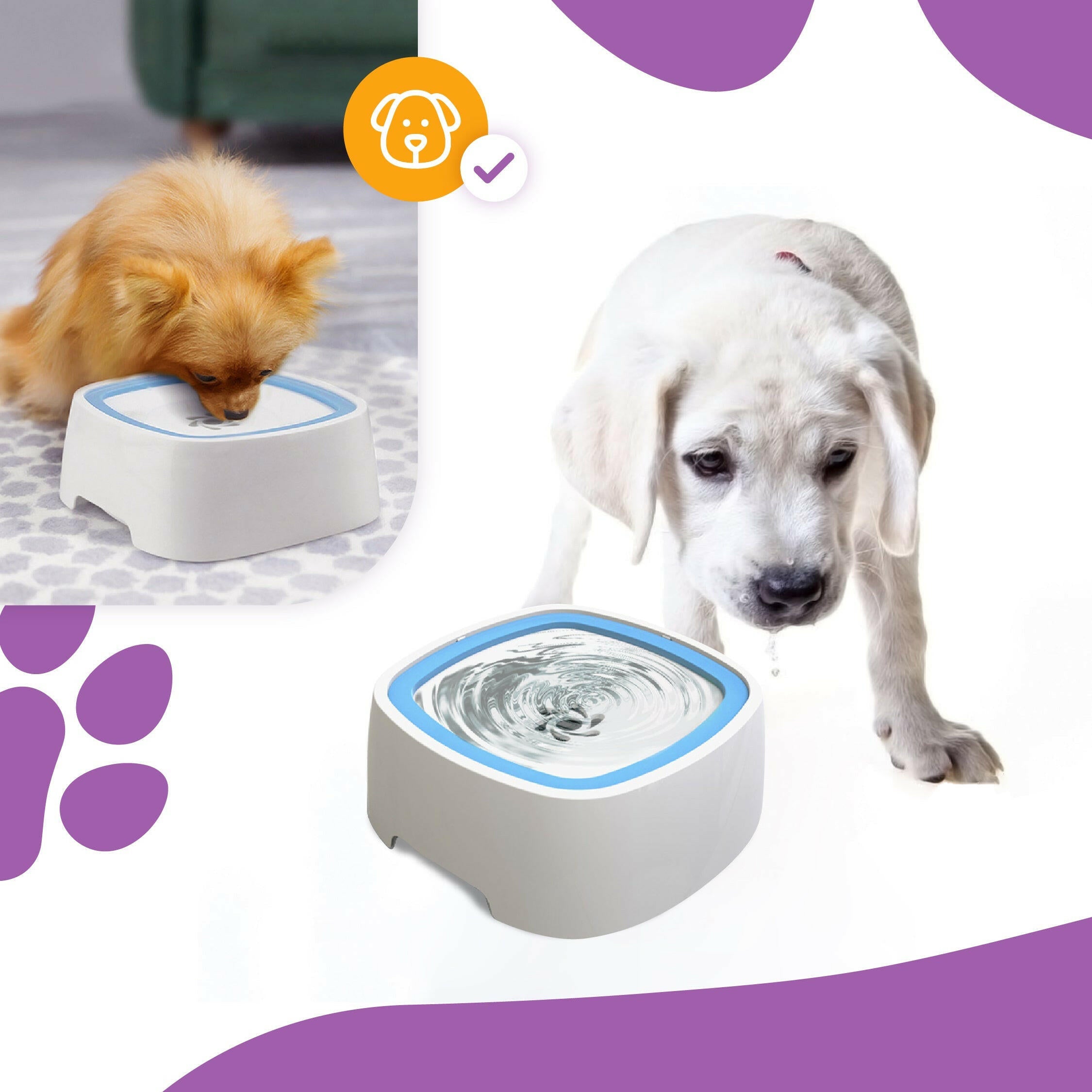 Splash-Free Floating Pet Bowl - Keep Your Floors Dry, Hydrate Your Pets with Ease!