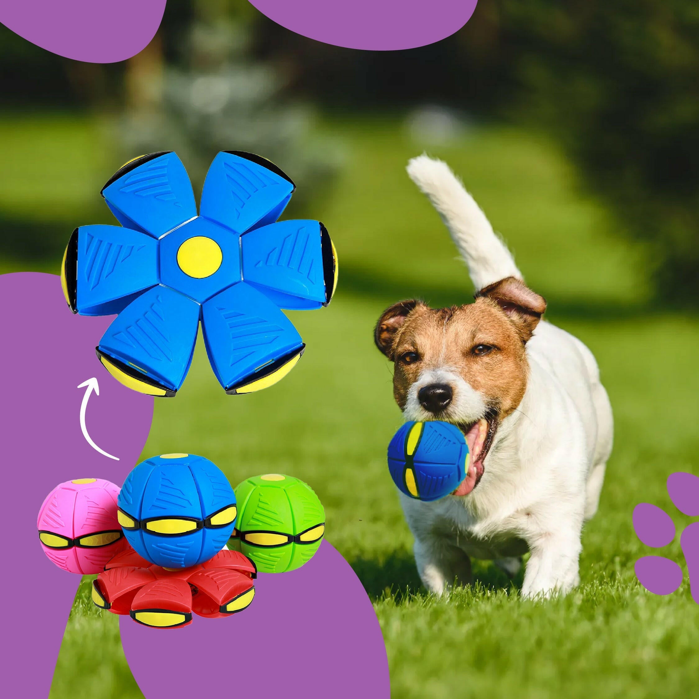 UFO Dog Frisbee - Magical Transformation for Interactive Outdoor Play and Training Fun!