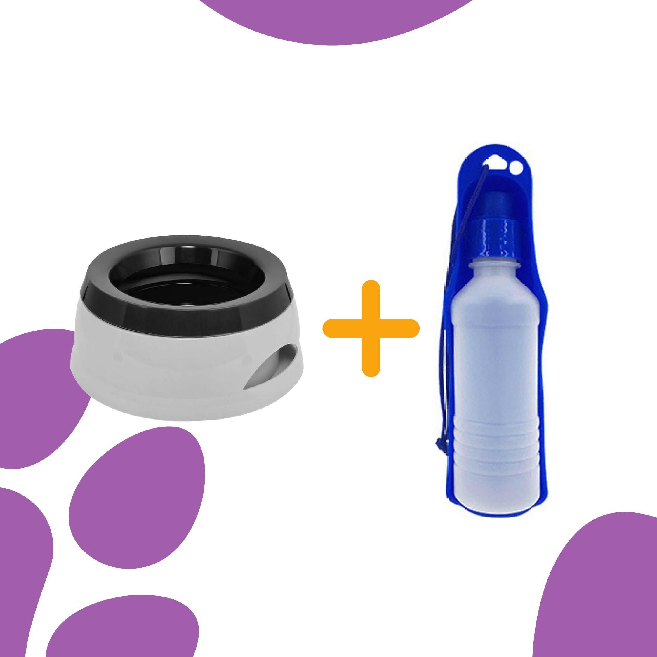 Smart Pet Bowl Slow Feeder, and Non-Slip Design, Bonus Water Bottle Feeder - No More Spills!