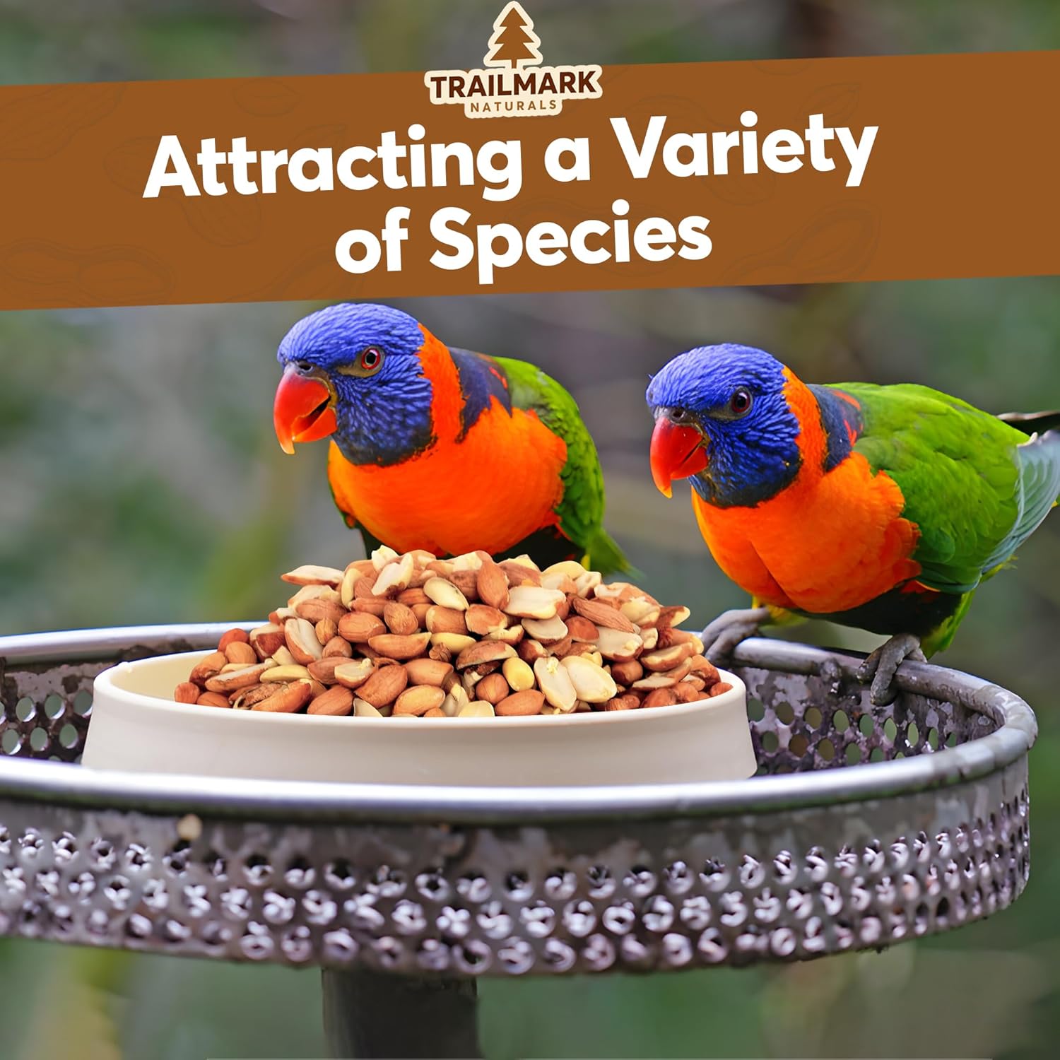 TRAILMARK NATURALS 45 LB - Raw Shelled Peanuts For Squirrels, Out of Shell Peanuts For Birds and Wildlife- Squirrel Food, Wild Bird Seed - Grown in The USA