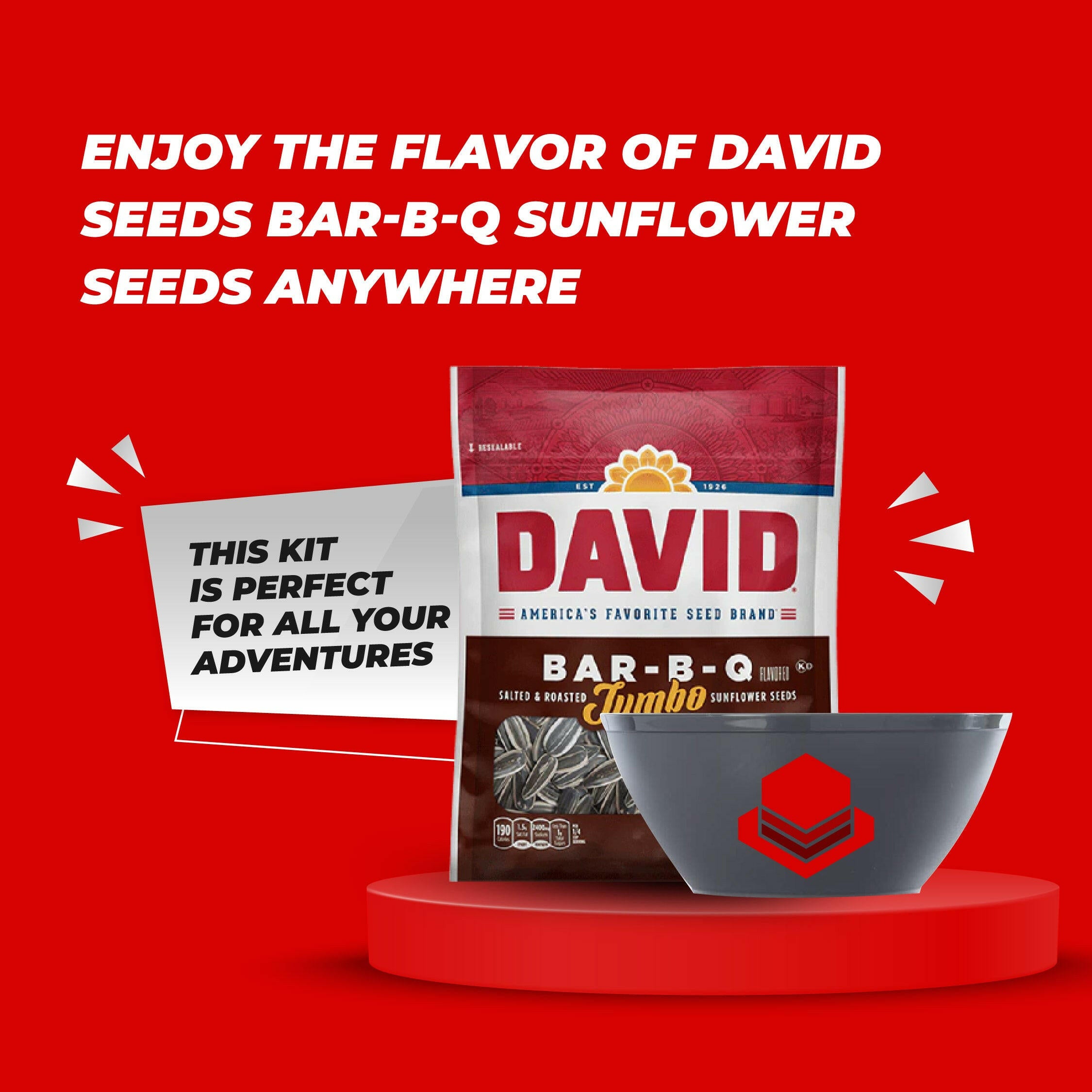 15 David Bar-B-Q Jumbo Sunflower Seeds 5.25oz + 3 Plastic Stackable Reusable Catsa Essentials, BPA-Free, Made in the USA, Dishwasher Safe Dinnerware, 28 oz with Catsa Essentials Pack Box